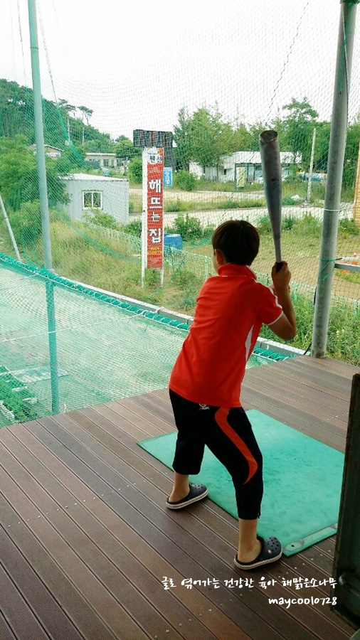 제부비치랜드 이미지
