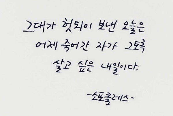 어라운드마켓 이미지