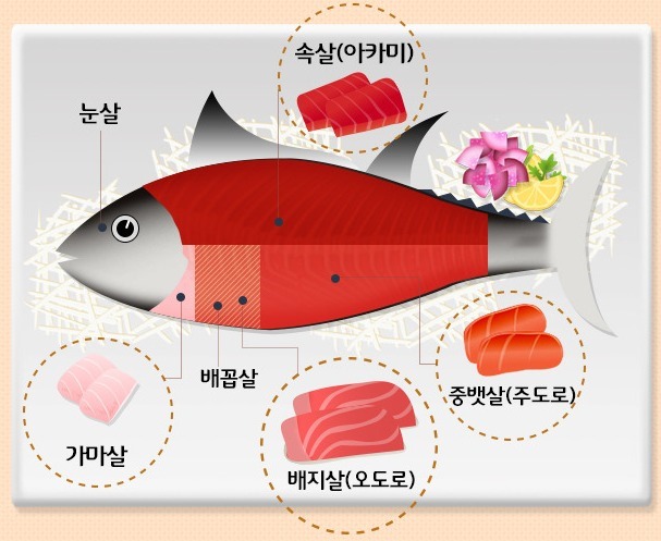 하나비일식 이미지