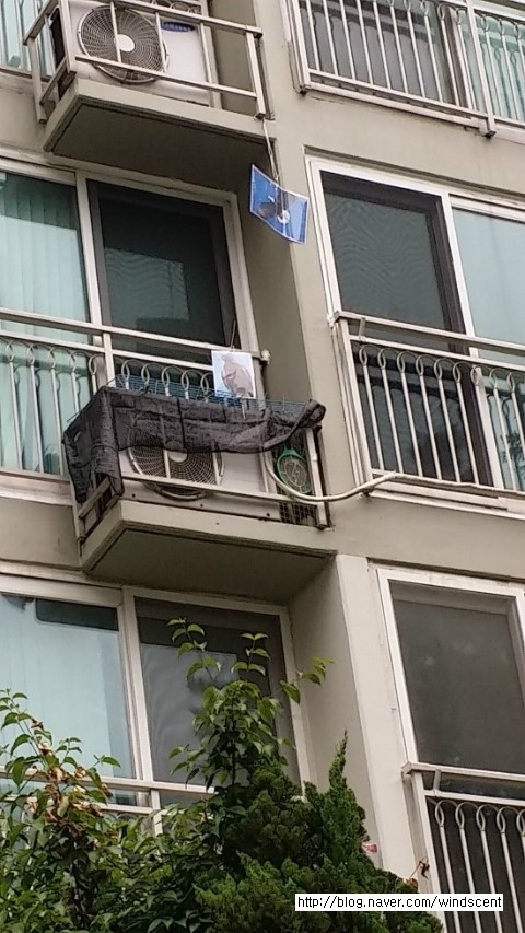 비둘기세탁소 이미지