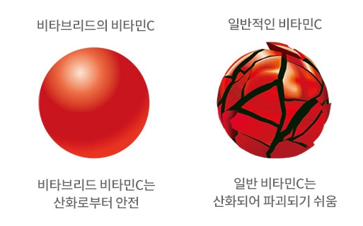 비타브리드스칼프케어 이미지