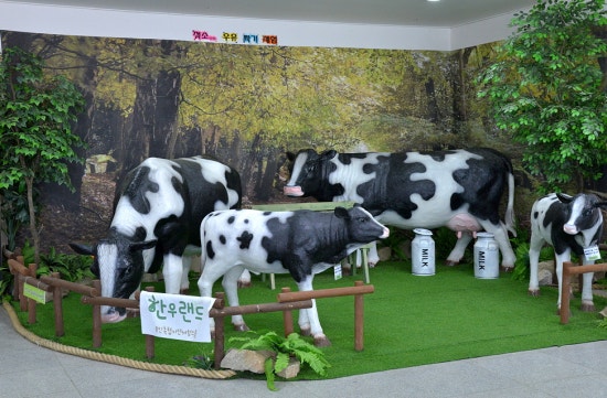 용인축산업협동조합한우랜드 이미지