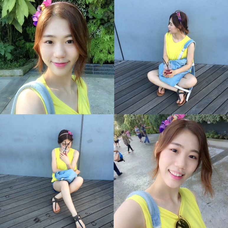바이더카 이미지