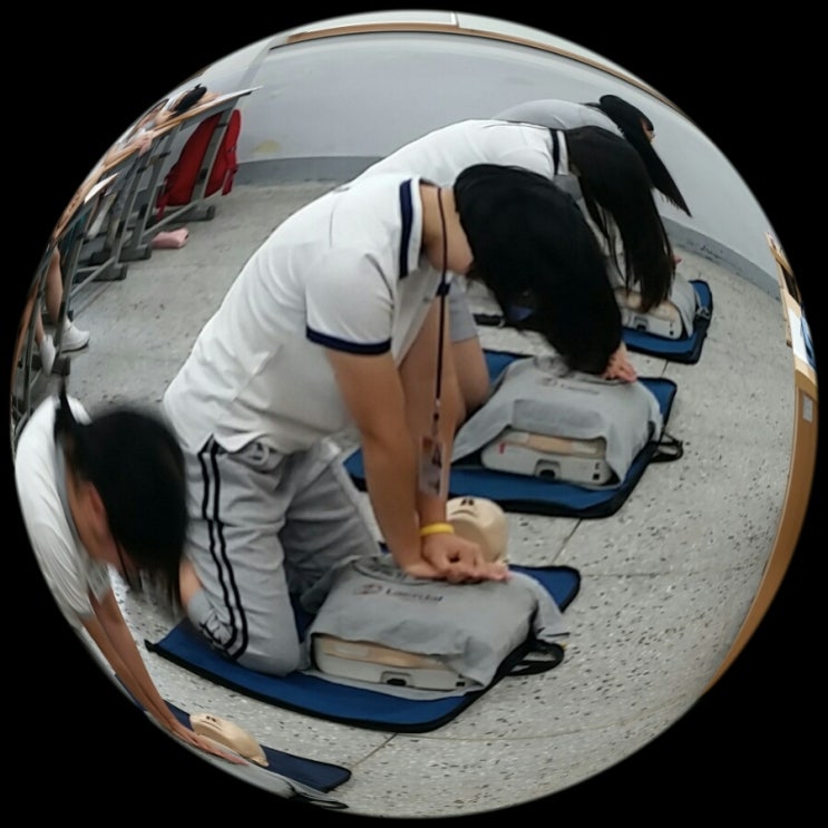 성신여자고등학교 이미지