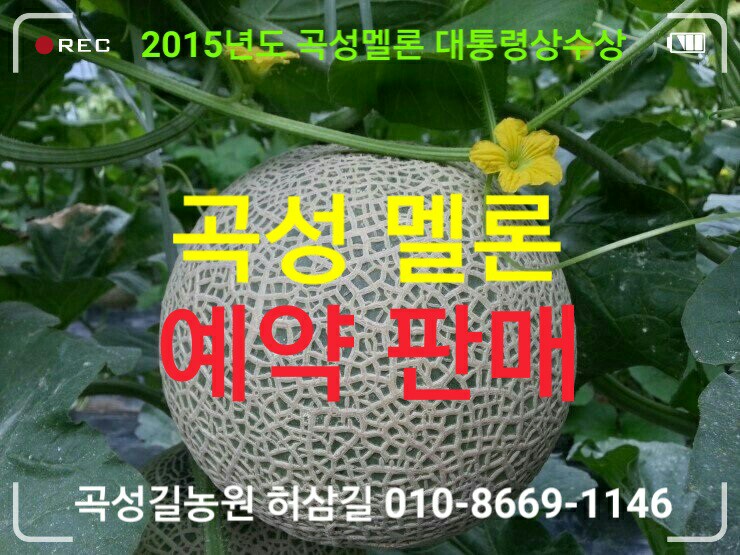 곡성멜론 이미지