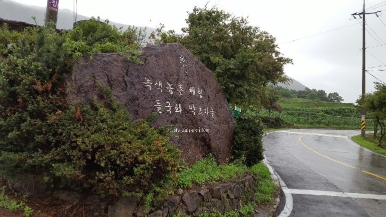 들국화찻집 이미지