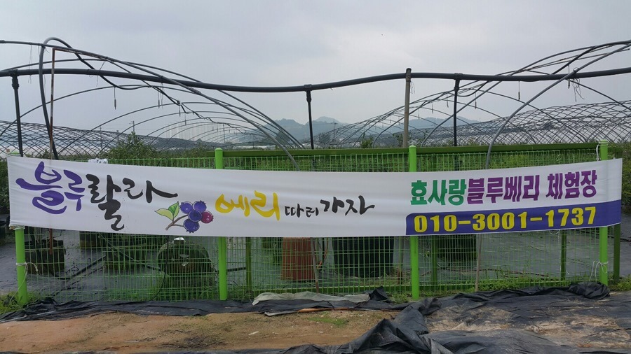 남평체험장 이미지