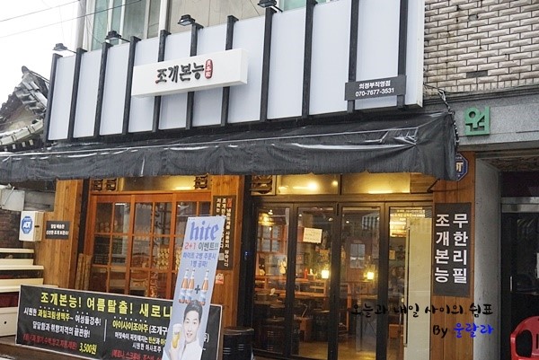 조개본능 이미지