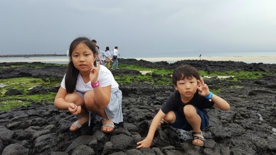 세화동백그늘 이미지