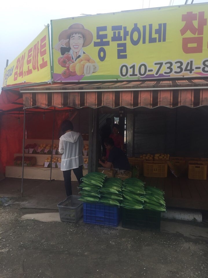 동팔이네 이미지