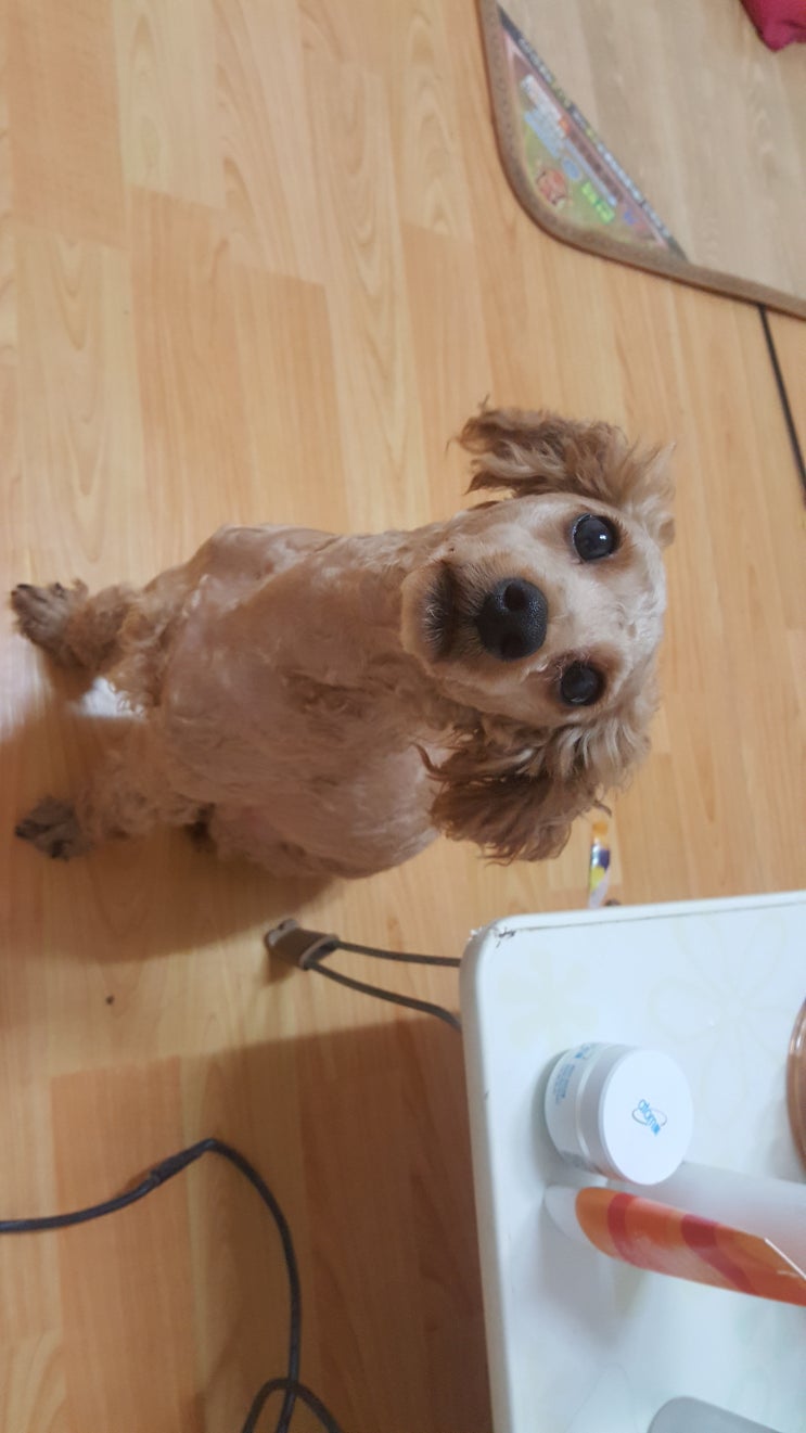 유*기 이미지