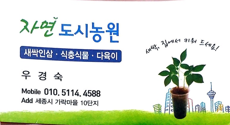 평안식당 이미지