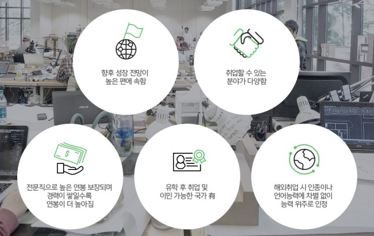 감자유학 이미지