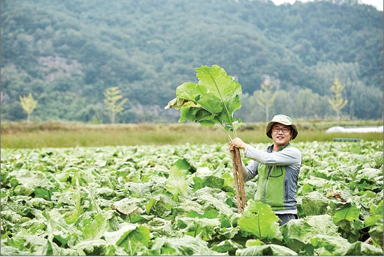 농촌사랑 영농조합법인 이미지