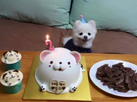 오구오구 이미지