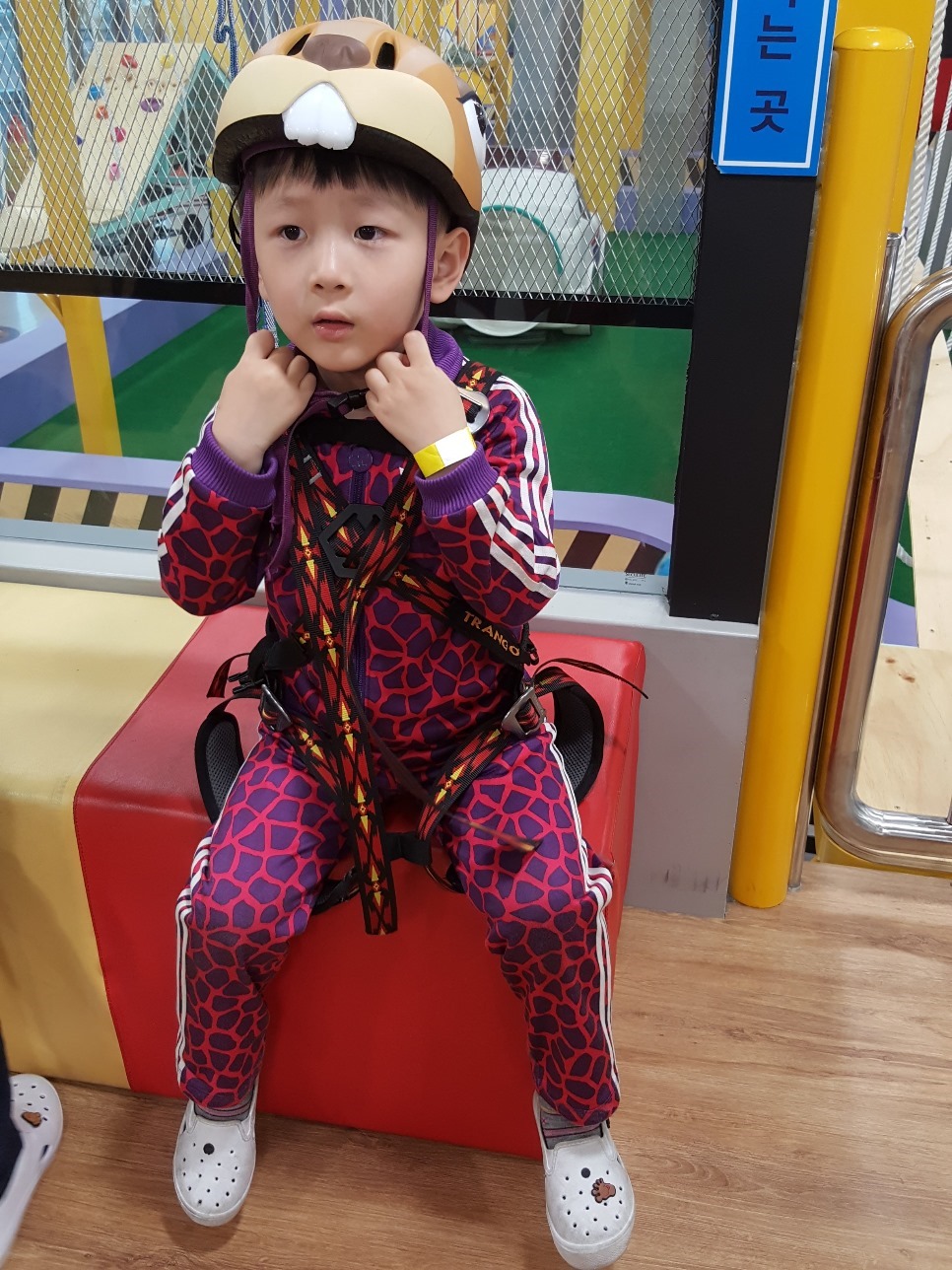 챔피언키즈스포츠클럽 이미지