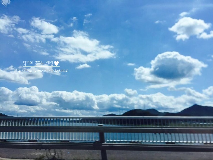 배영태한우 이미지