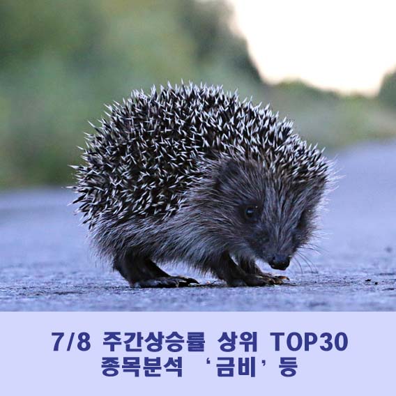 (주)금비온양공장 이미지