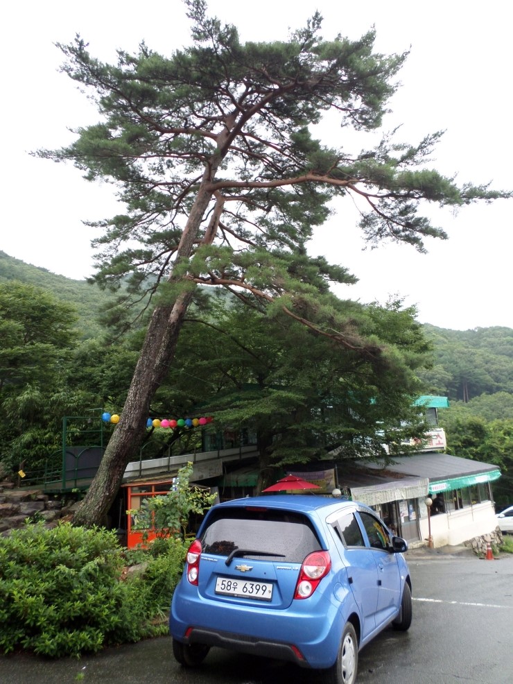 커피에반하다부산 이미지