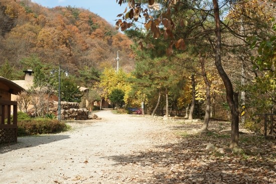 안덕의원 이미지