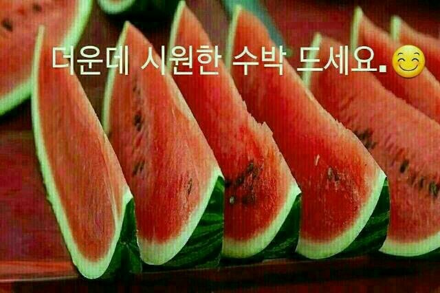 육이 이미지