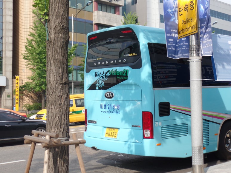 비젼여행사 이미지