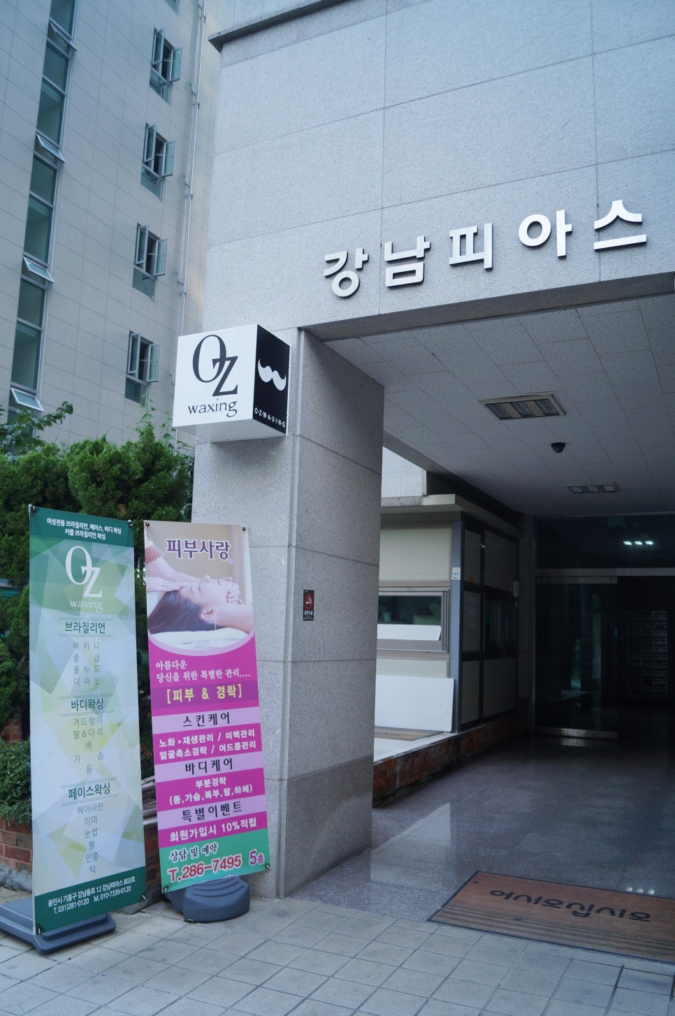 오즈헤어라인 이미지