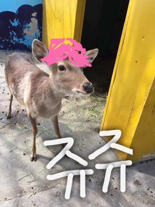 카페반달 이미지
