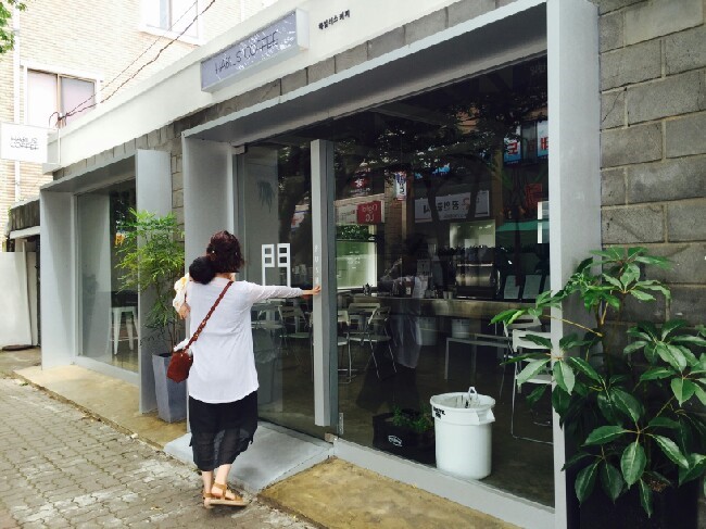 국수바라기 이미지