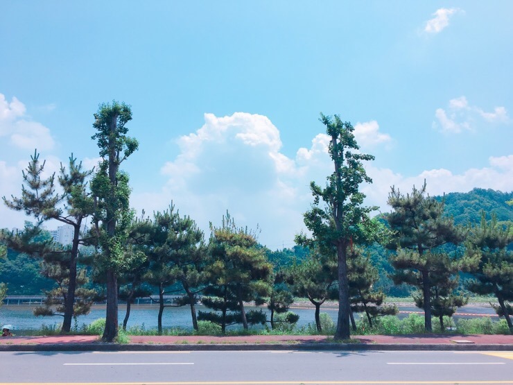 은천칡냉면 이미지
