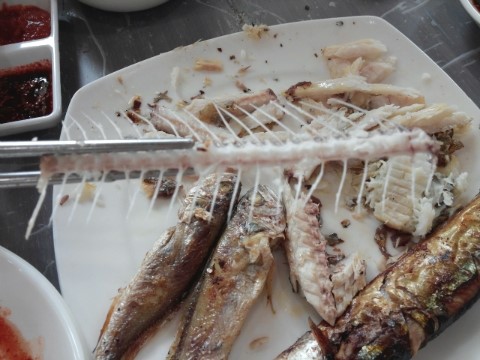 테라스생선구이 이미지