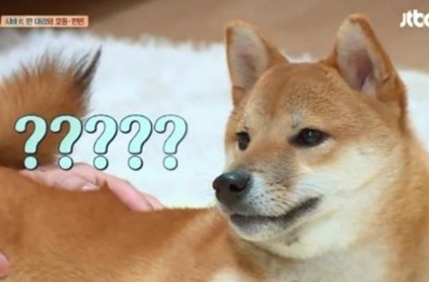 뜨르들로 이미지