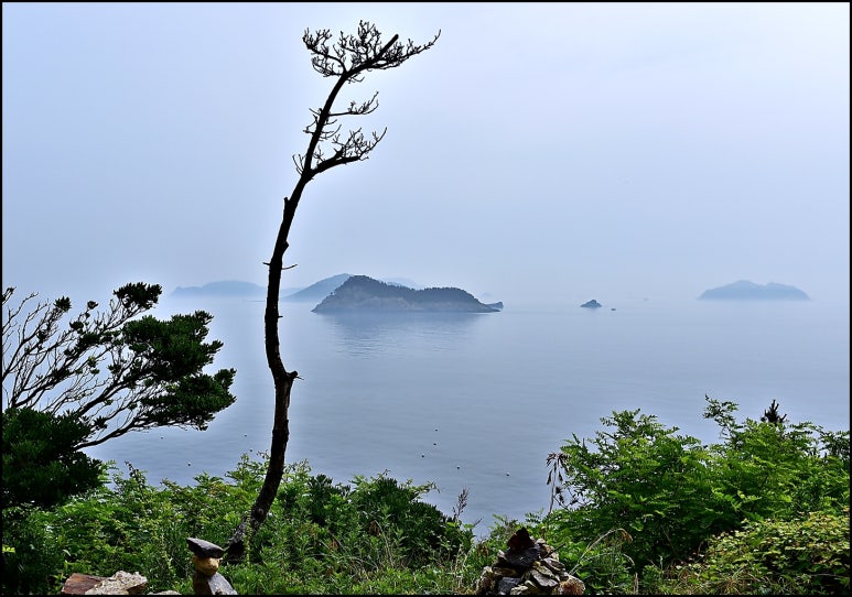 섬이보인다 이미지