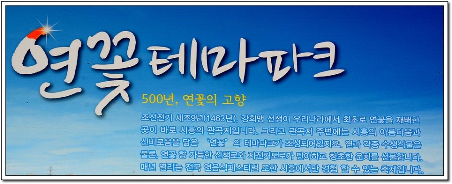 썬스토리 이미지