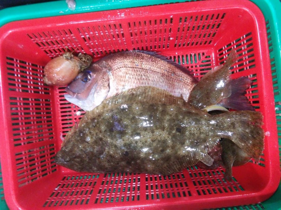 강릉회수산 이미지