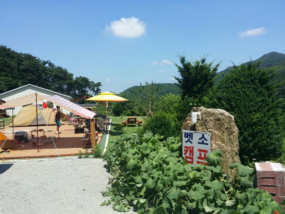 벳소캠프 이미지