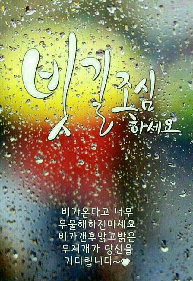 홀마트 이미지