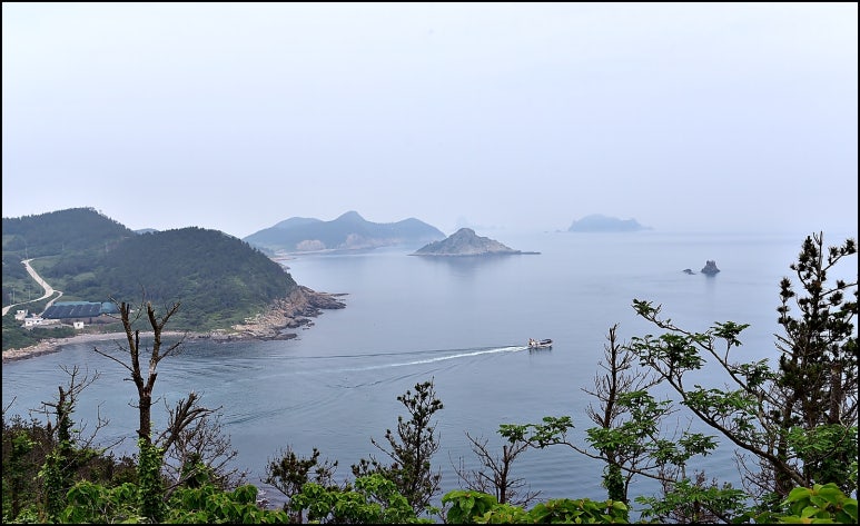 섬이보인다 이미지