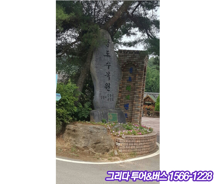 그리다투어&버스 이미지