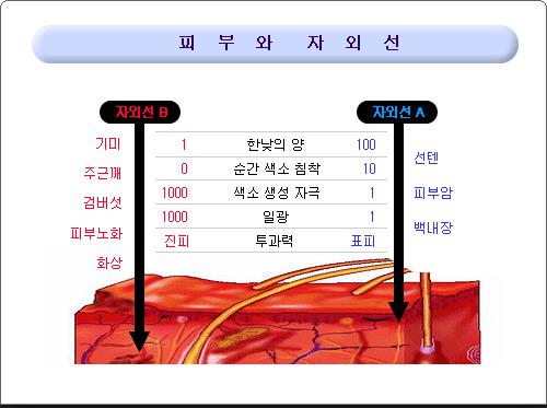 퍼빈 이미지
