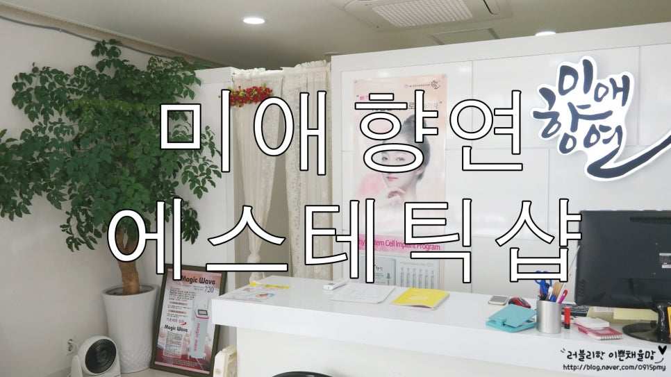 미애향연 이미지