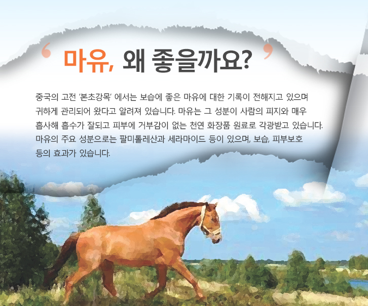 홍익홍삼 이미지