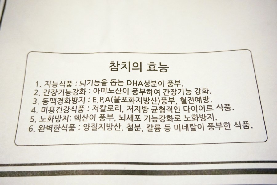 다미참치 이미지