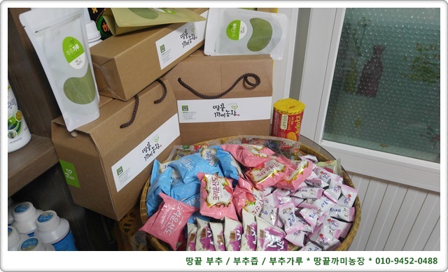 땅끝부추 이미지