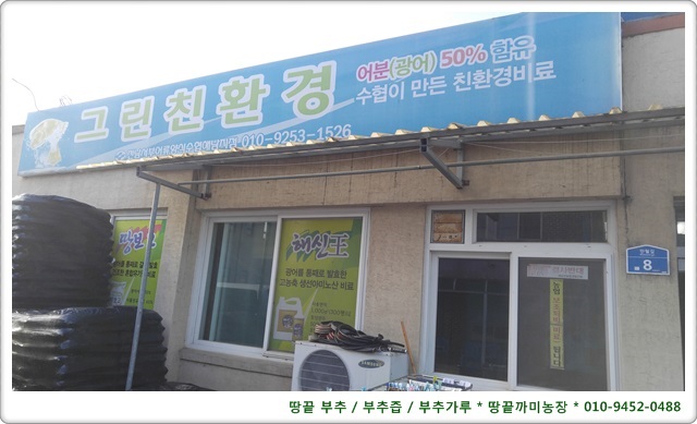 땅끝부추 이미지
