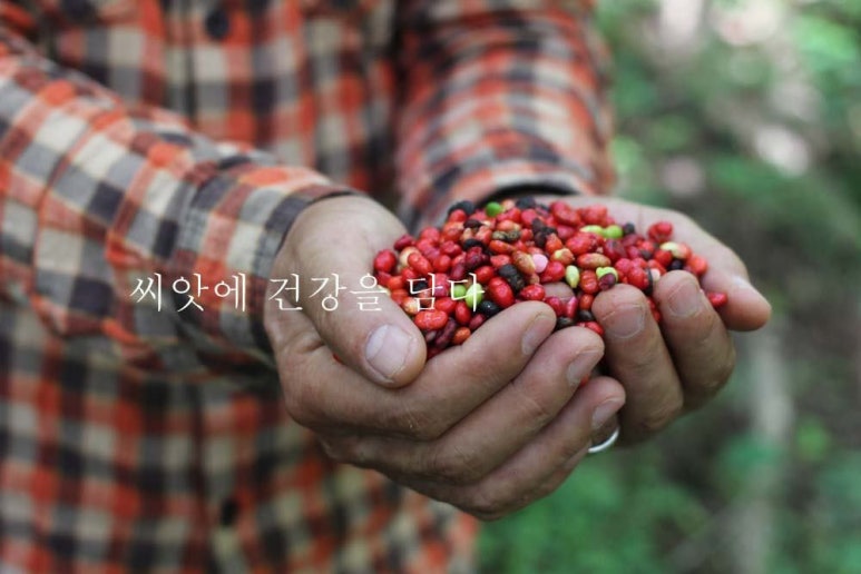이일정보 이미지