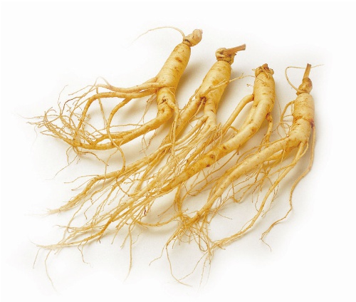 주신인삼 이미지