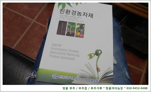 땅끝부추 이미지