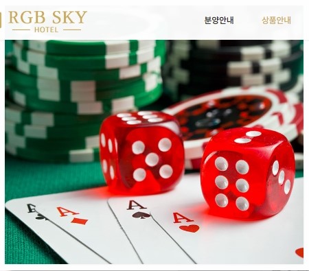 스카이도시연구소 이미지