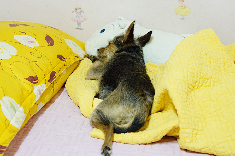 잘자 이미지